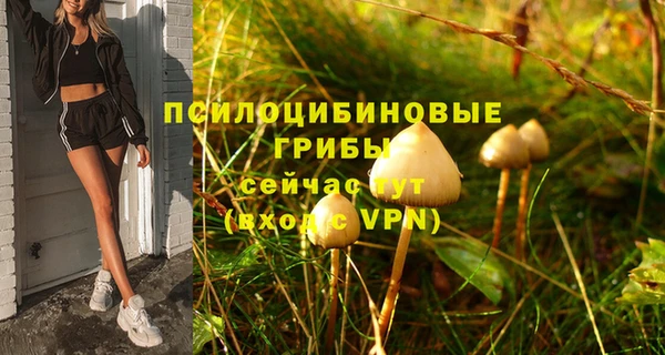 apvp Алзамай